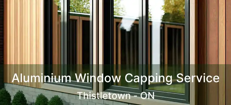  Aluminium Window Capping Service Thistletown - ON