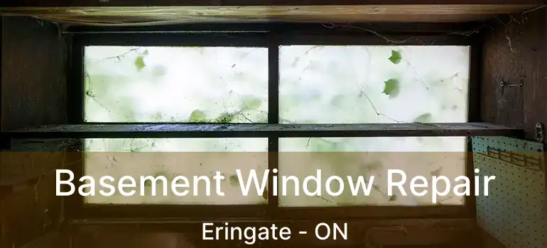  Basement Window Repair Eringate - ON
