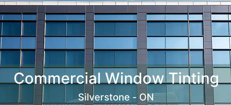  Commercial Window Tinting Silverstone - ON