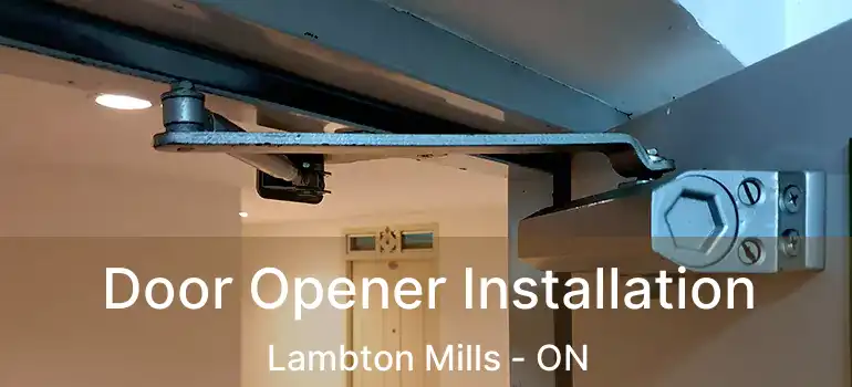  Door Opener Installation Lambton Mills - ON