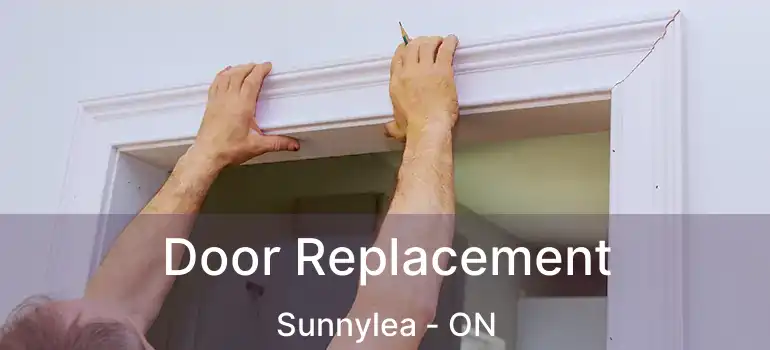  Door Replacement Sunnylea - ON