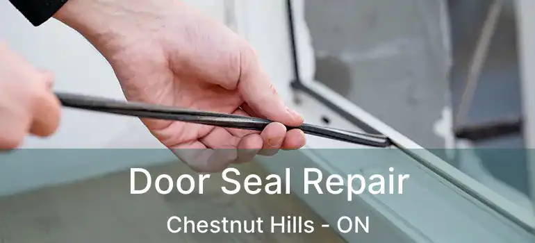  Door Seal Repair Chestnut Hills - ON
