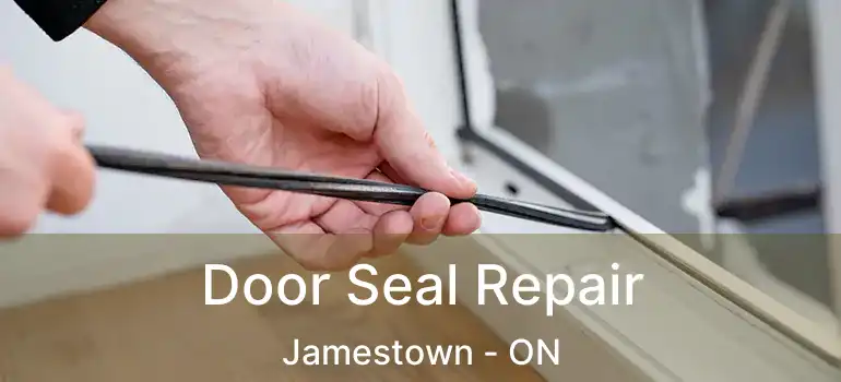  Door Seal Repair Jamestown - ON