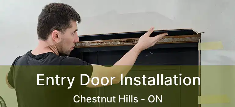 Entry Door Installation Chestnut Hills - ON