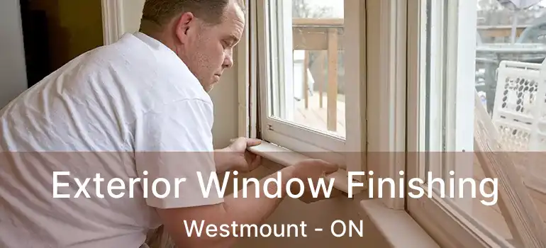  Exterior Window Finishing Westmount - ON