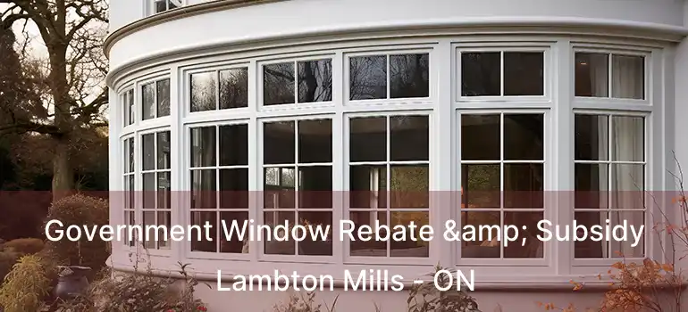 Government Window Rebate & Subsidy Lambton Mills - ON