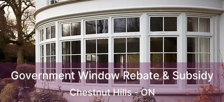  Government Window Rebate & Subsidy Chestnut Hills - ON