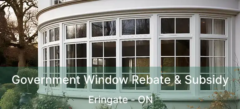  Government Window Rebate & Subsidy Eringate - ON