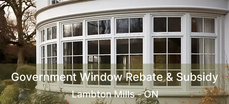  Government Window Rebate & Subsidy Lambton Mills - ON
