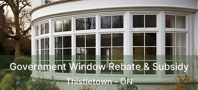  Government Window Rebate & Subsidy Thistletown - ON