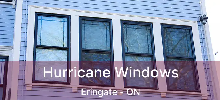  Hurricane Windows Eringate - ON