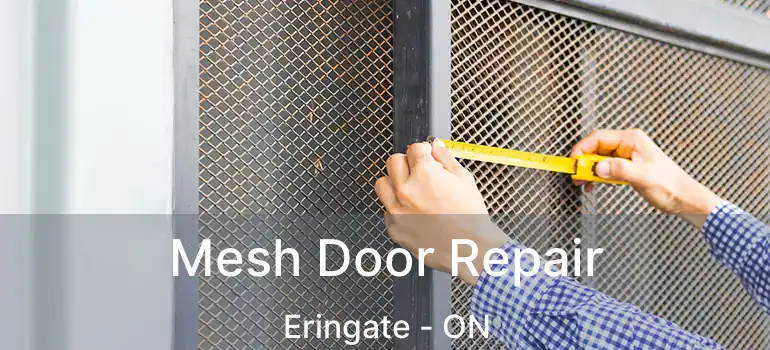  Mesh Door Repair Eringate - ON