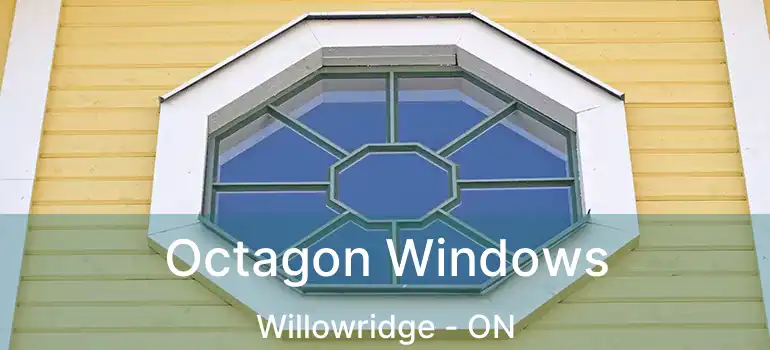  Octagon Windows Willowridge - ON