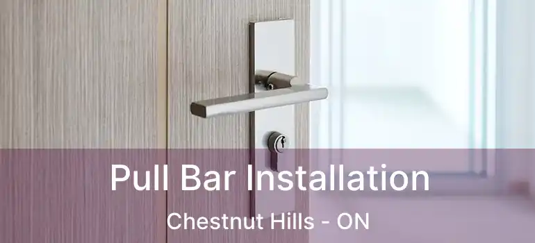  Pull Bar Installation Chestnut Hills - ON
