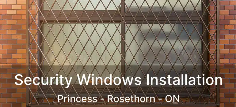  Security Windows Installation Princess - Rosethorn - ON