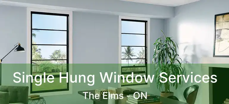  Single Hung Window Services The Elms - ON
