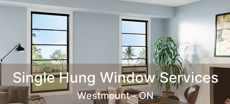  Single Hung Window Services Westmount - ON