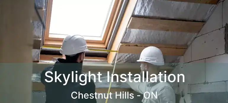  Skylight Installation Chestnut Hills - ON