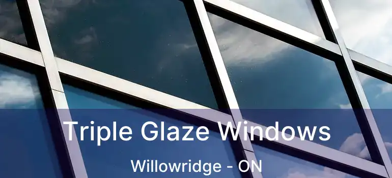  Triple Glaze Windows Willowridge - ON