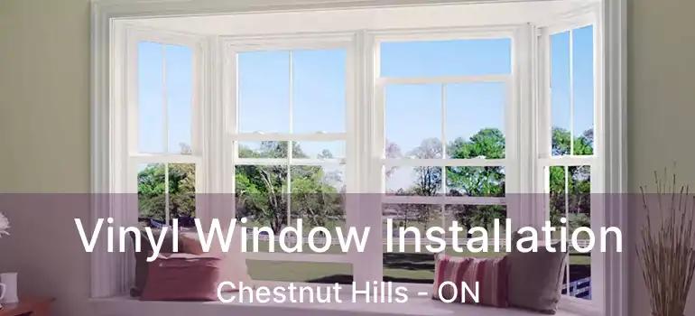  Vinyl Window Installation Chestnut Hills - ON