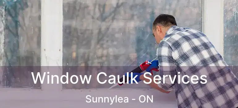  Window Caulk Services Sunnylea - ON
