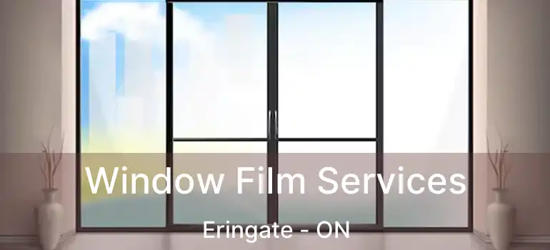  Window Film Services Eringate - ON