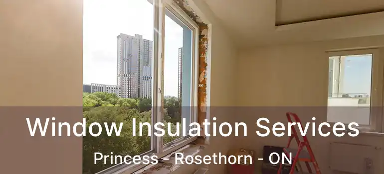  Window Insulation Services Princess - Rosethorn - ON