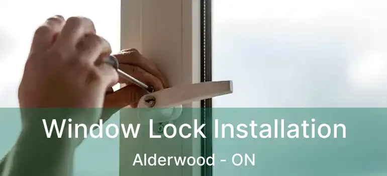  Window Lock Installation Alderwood - ON