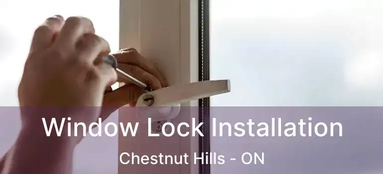  Window Lock Installation Chestnut Hills - ON