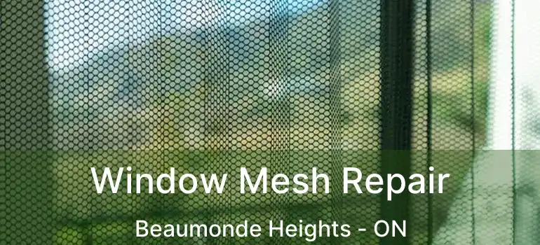  Window Mesh Repair Beaumonde Heights - ON