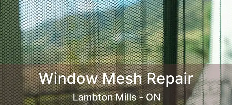  Window Mesh Repair Lambton Mills - ON