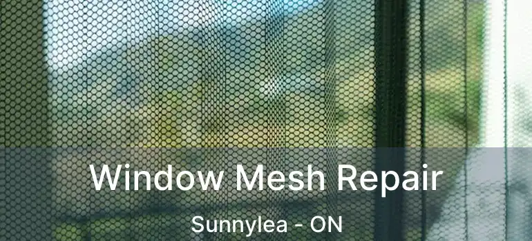  Window Mesh Repair Sunnylea - ON