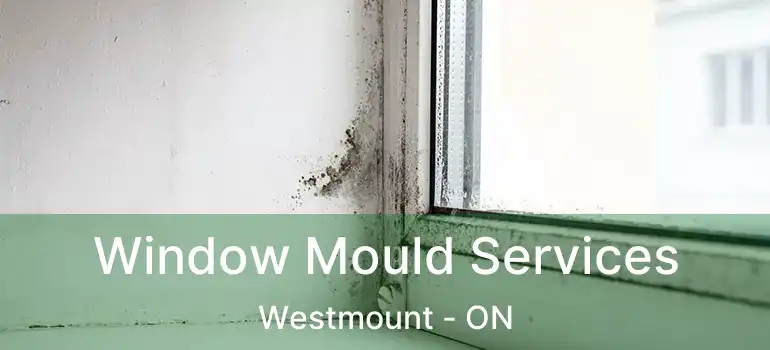  Window Mould Services Westmount - ON