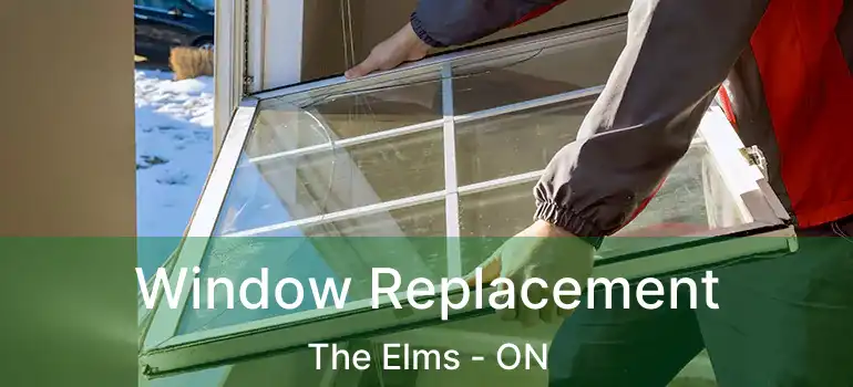  Window Replacement The Elms - ON