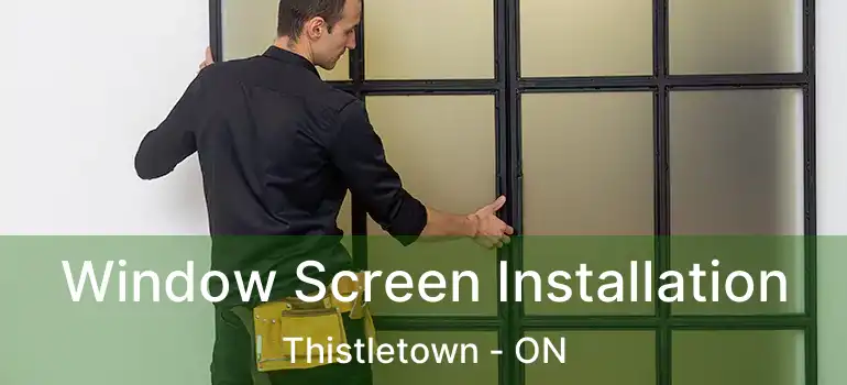  Window Screen Installation Thistletown - ON
