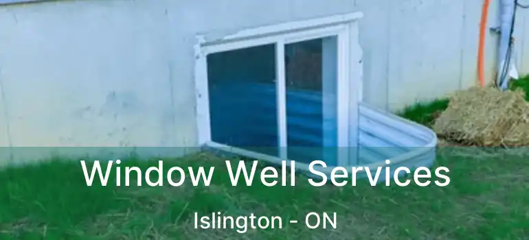  Window Well Services Islington - ON